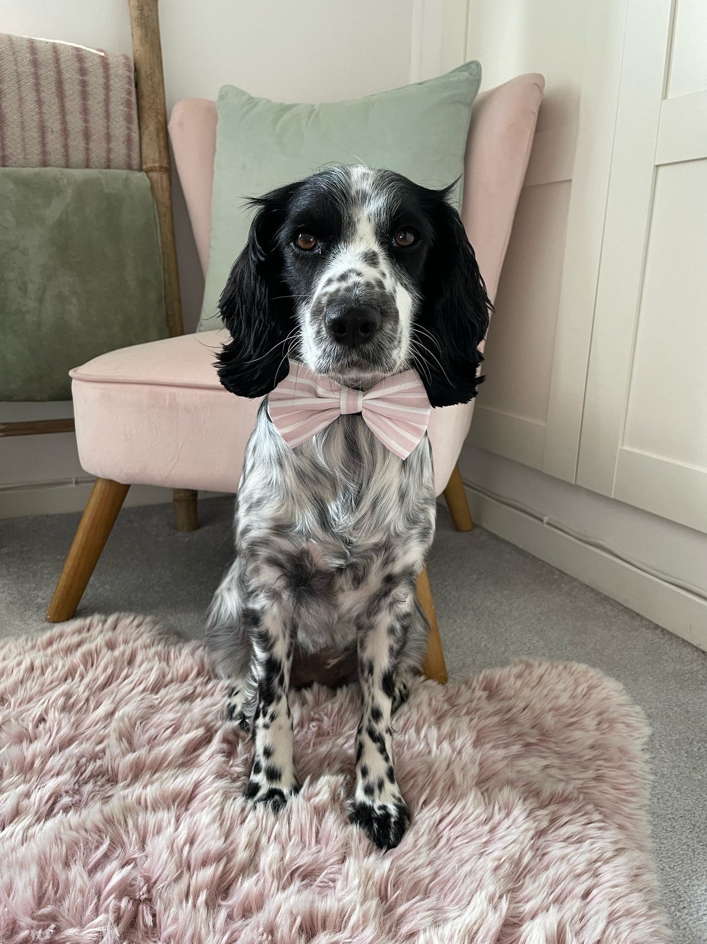 Candyfloss Bow