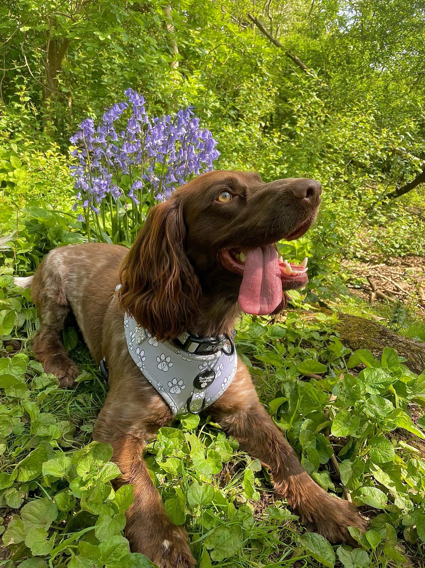 Pawfectly In Love Adjustable Harness